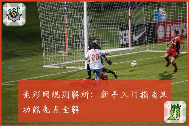 竞彩网规则解析：新手入门指南及功能亮点全解
