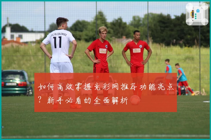 如何高效掌握竞彩网推荐功能亮点？新手必看的全面解析