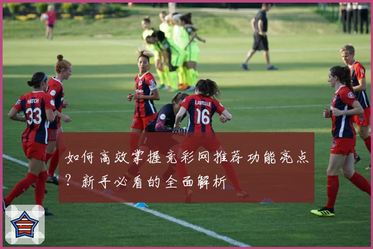 如何高效掌握竞彩网推荐功能亮点？新手必看的全面解析