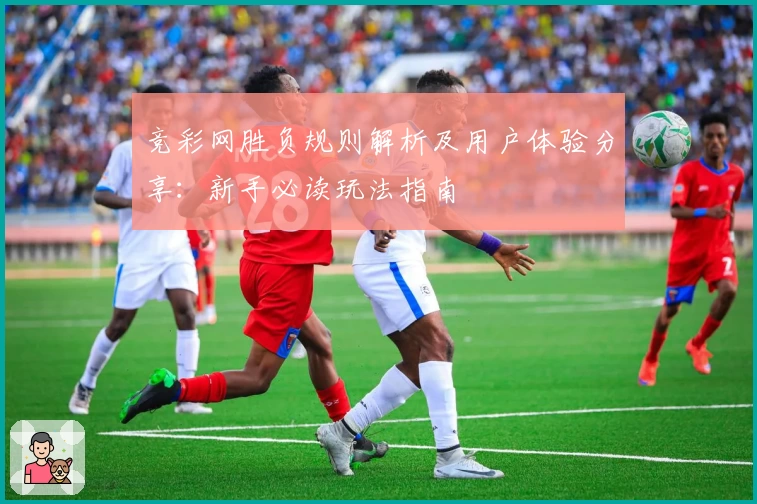 竞彩网胜负规则解析及用户体验分享：新手必读玩法指南
