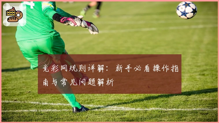 竞彩网规则详解：新手必看操作指南与常见问题解析