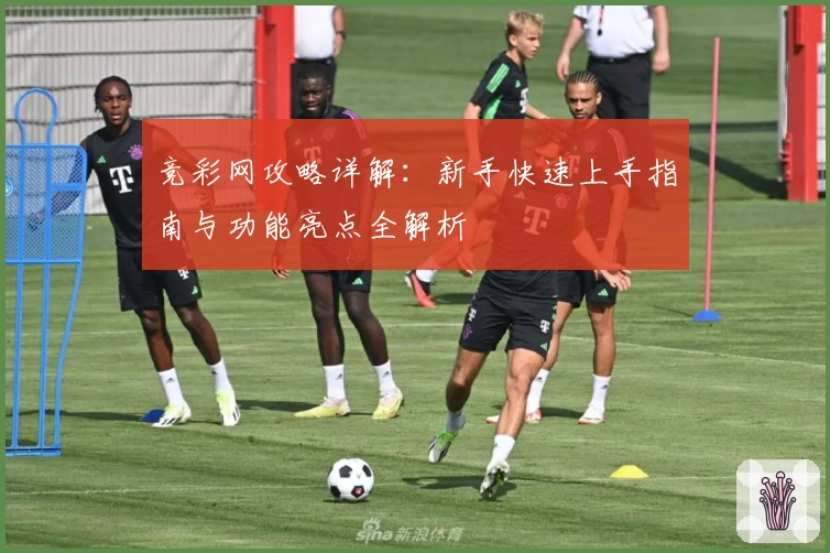 竞彩网攻略详解：新手快速上手指南与功能亮点全解析